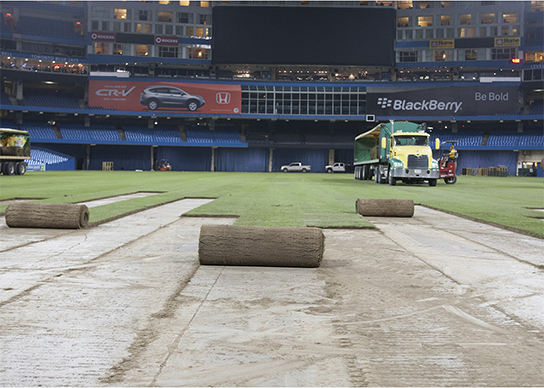 Installing Big Rolls