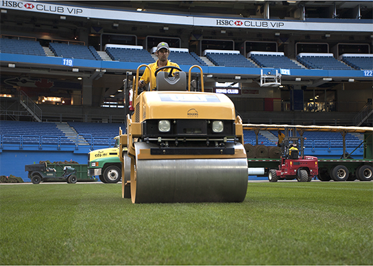 Rolling the field