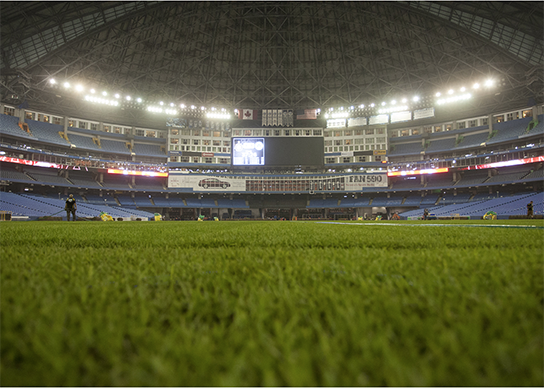 Rogers Centre Final Stages