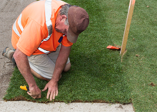 Over 40 Years of Turfgrass Experience